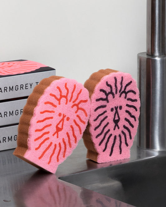 LION DISH SPONGE 2P SET