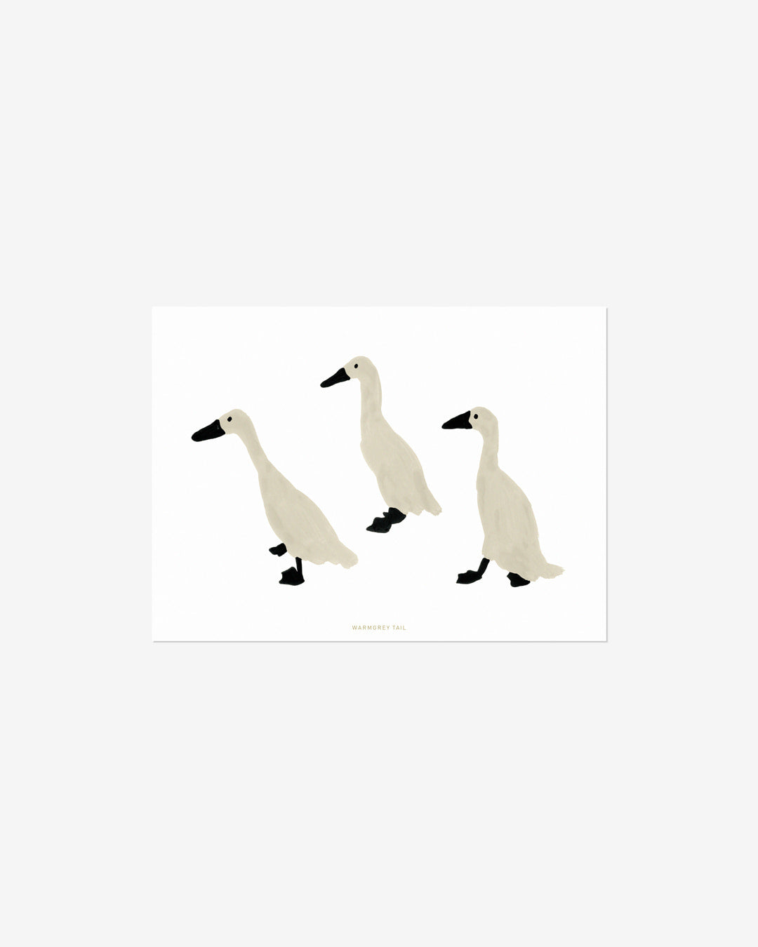 INDIAN RUNNER DUCKS POSTCARD