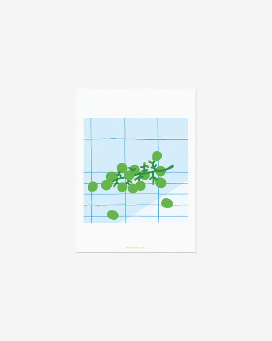GREEN GRAPE POSTCARD