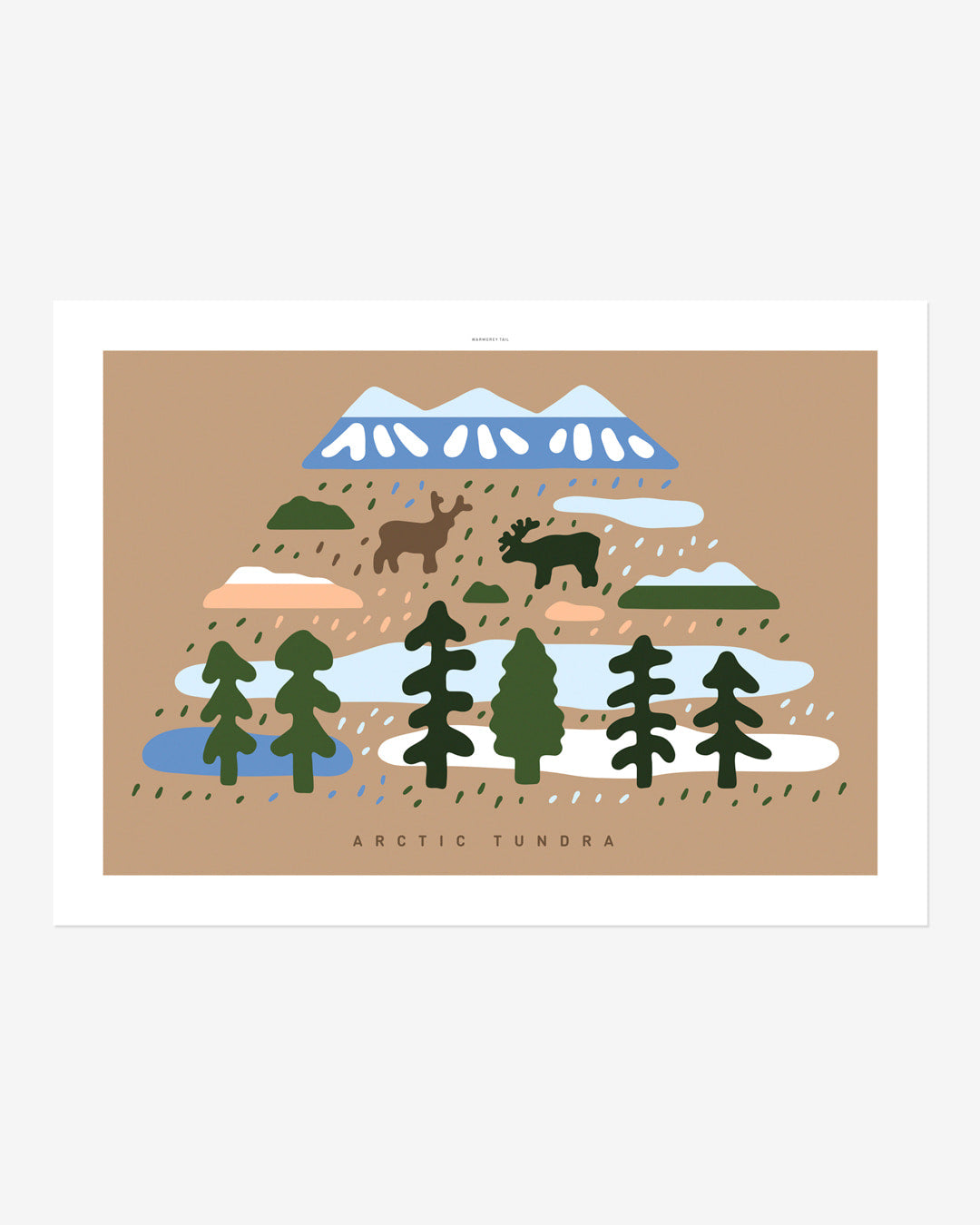 ARCTIC TUNDRA - LANDSCAPE POSTER