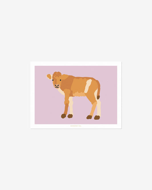 CALF POSTCARD