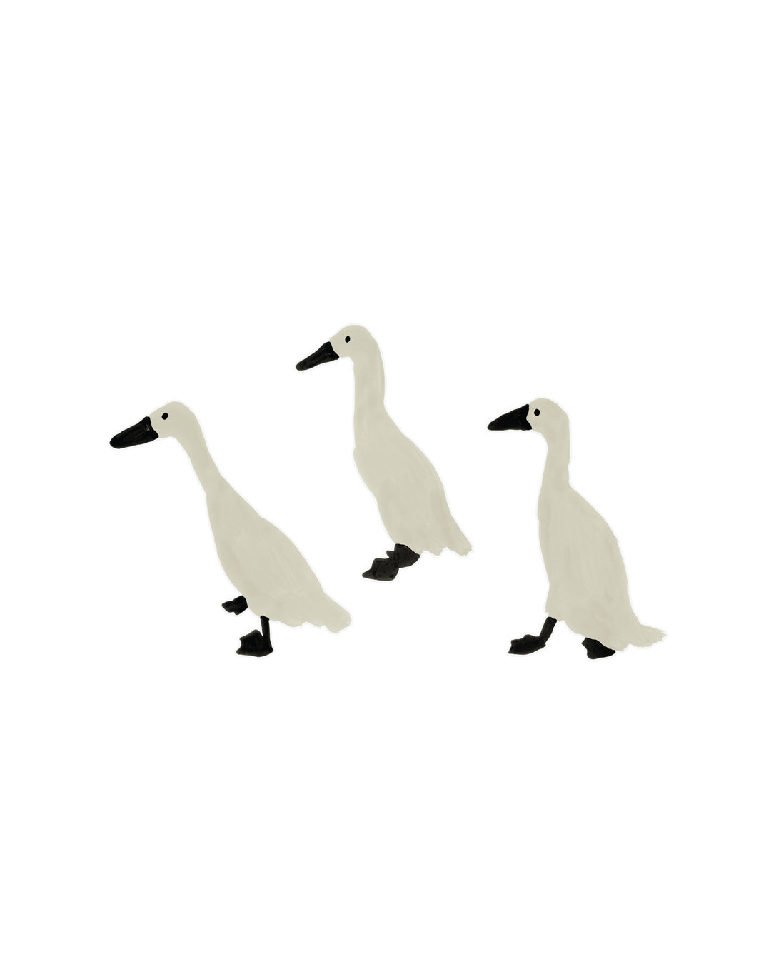 INDIAN RUNNER DUCKS STICKER