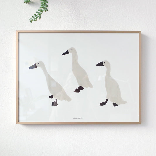 INDIAN RUNNER DUCKS POSTER