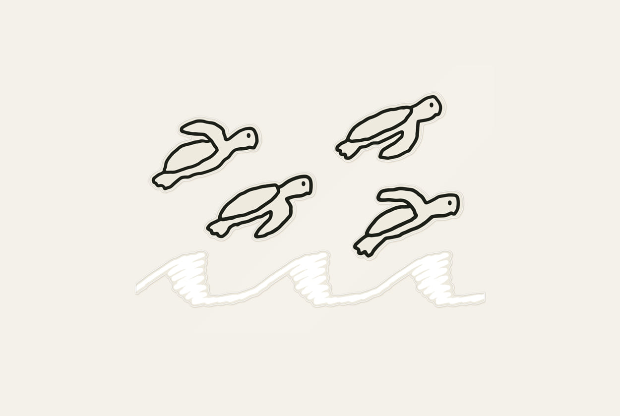 FLYING TURTLES STICKER