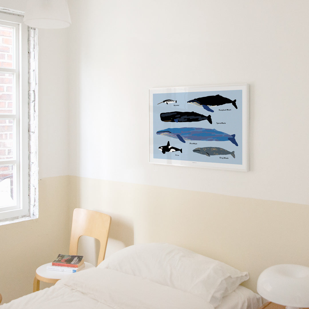 WHALES POSTER