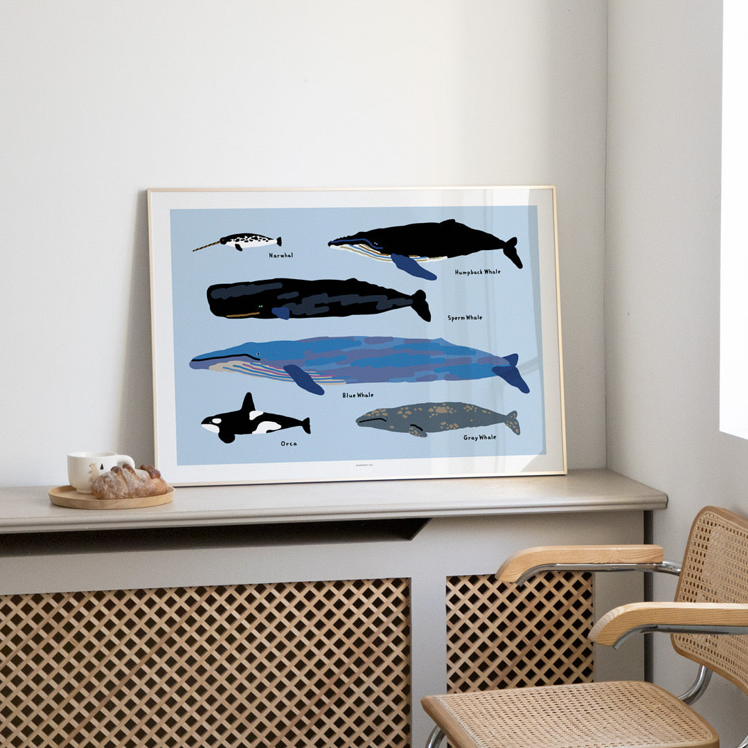 WHALES POSTER