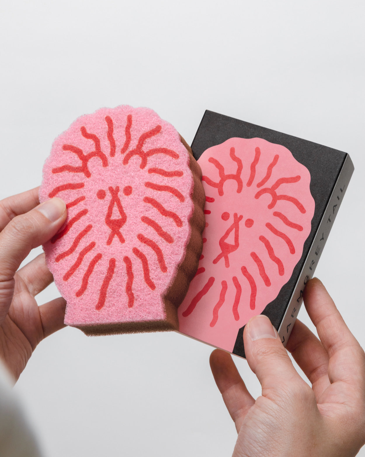 STANDING DISH SPONGE 2P SET