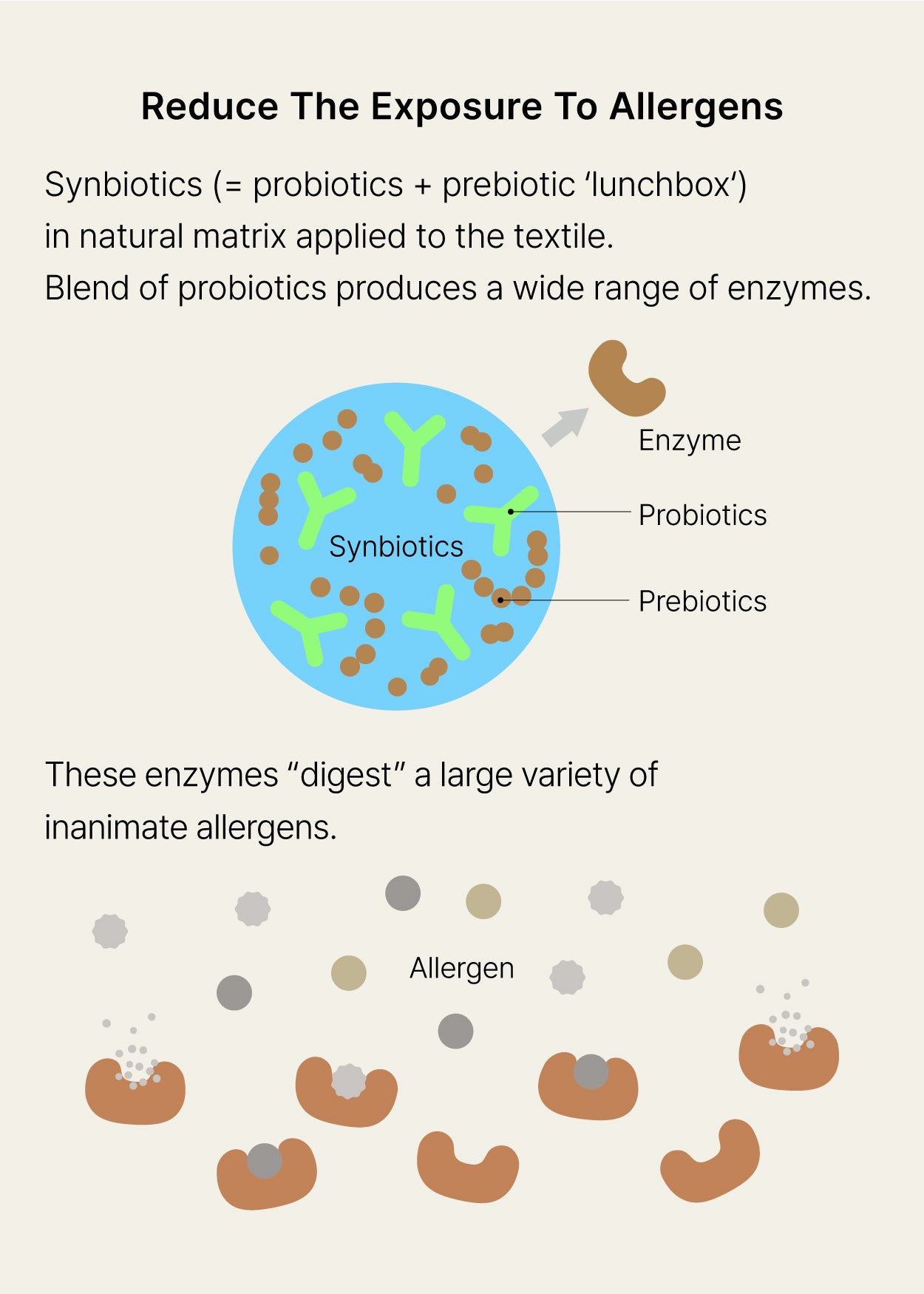 BUNNY BUNNY COMFORTER