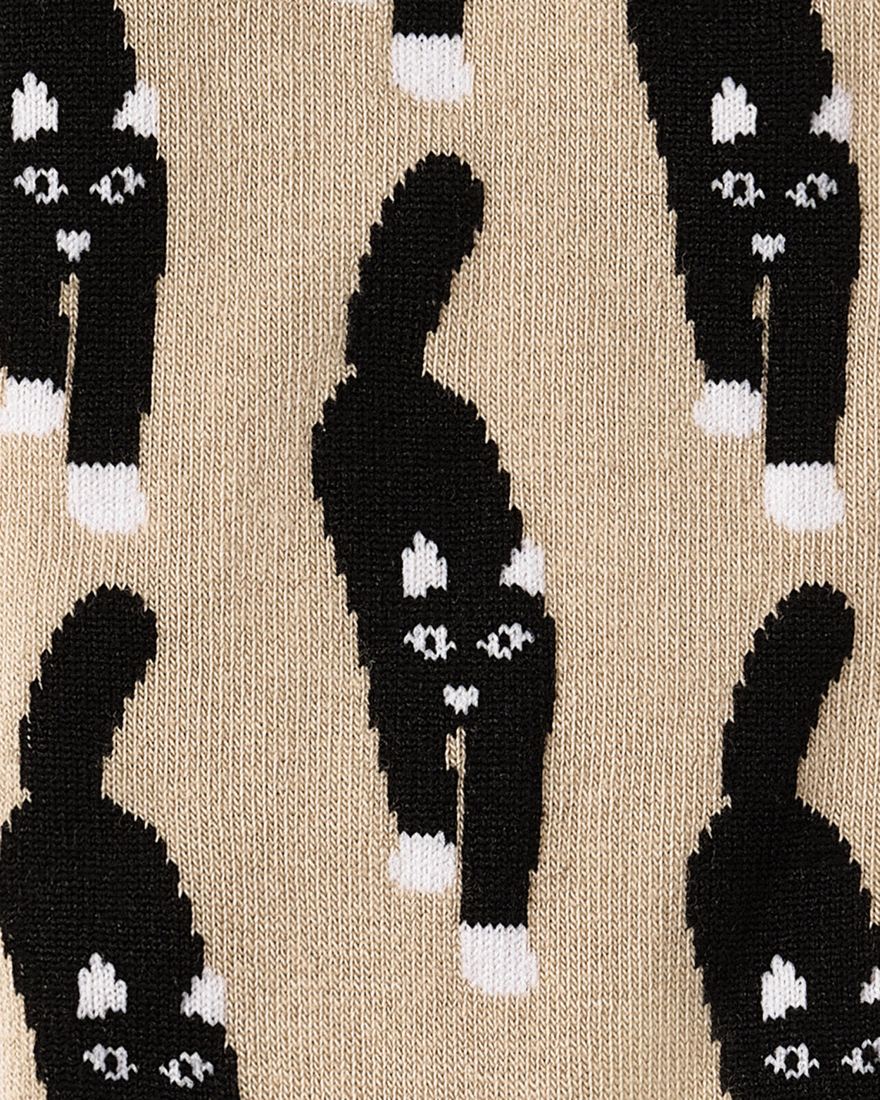 CAT COMING SOCKS - BEIGE