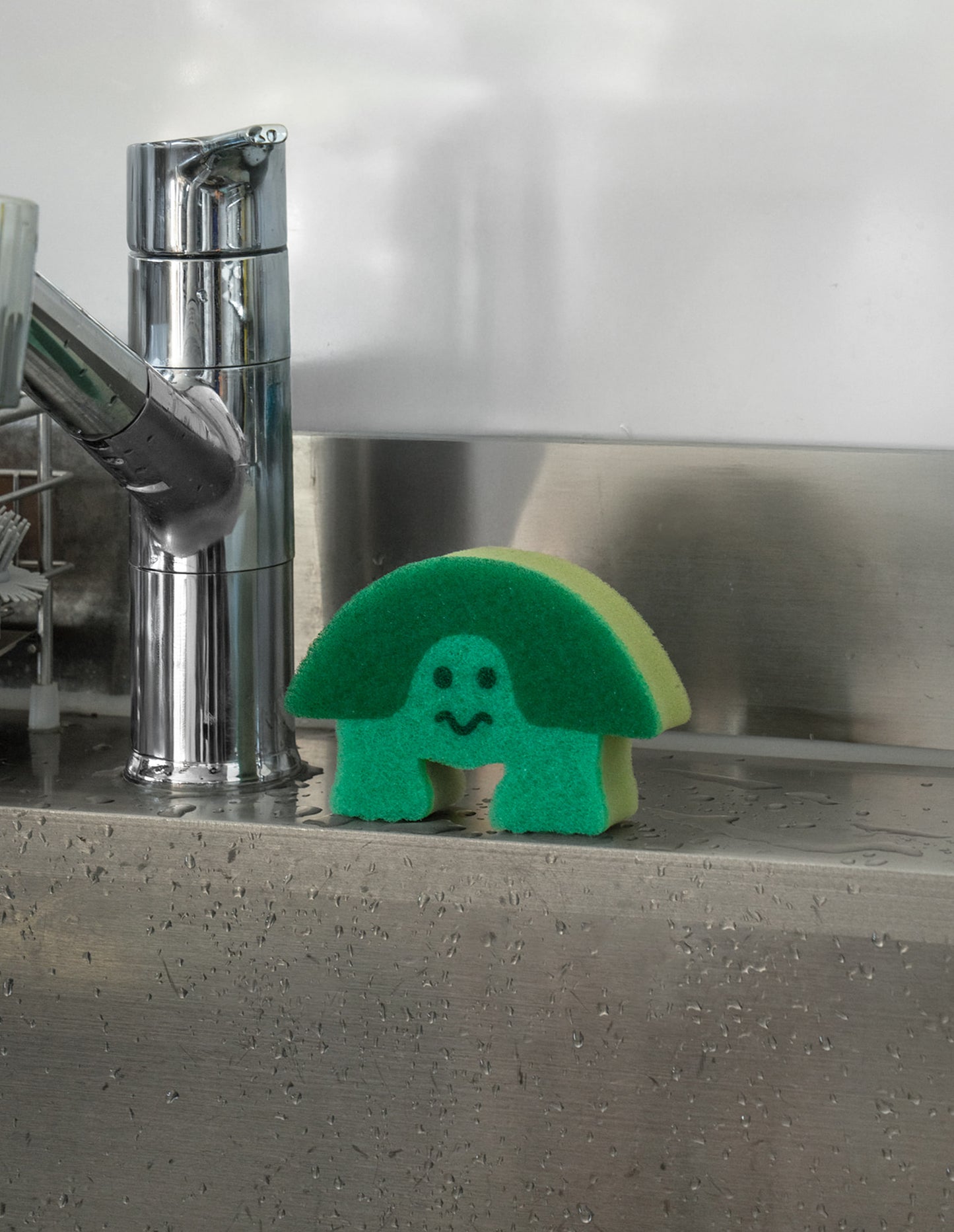 TURTLE DISH SPONGE