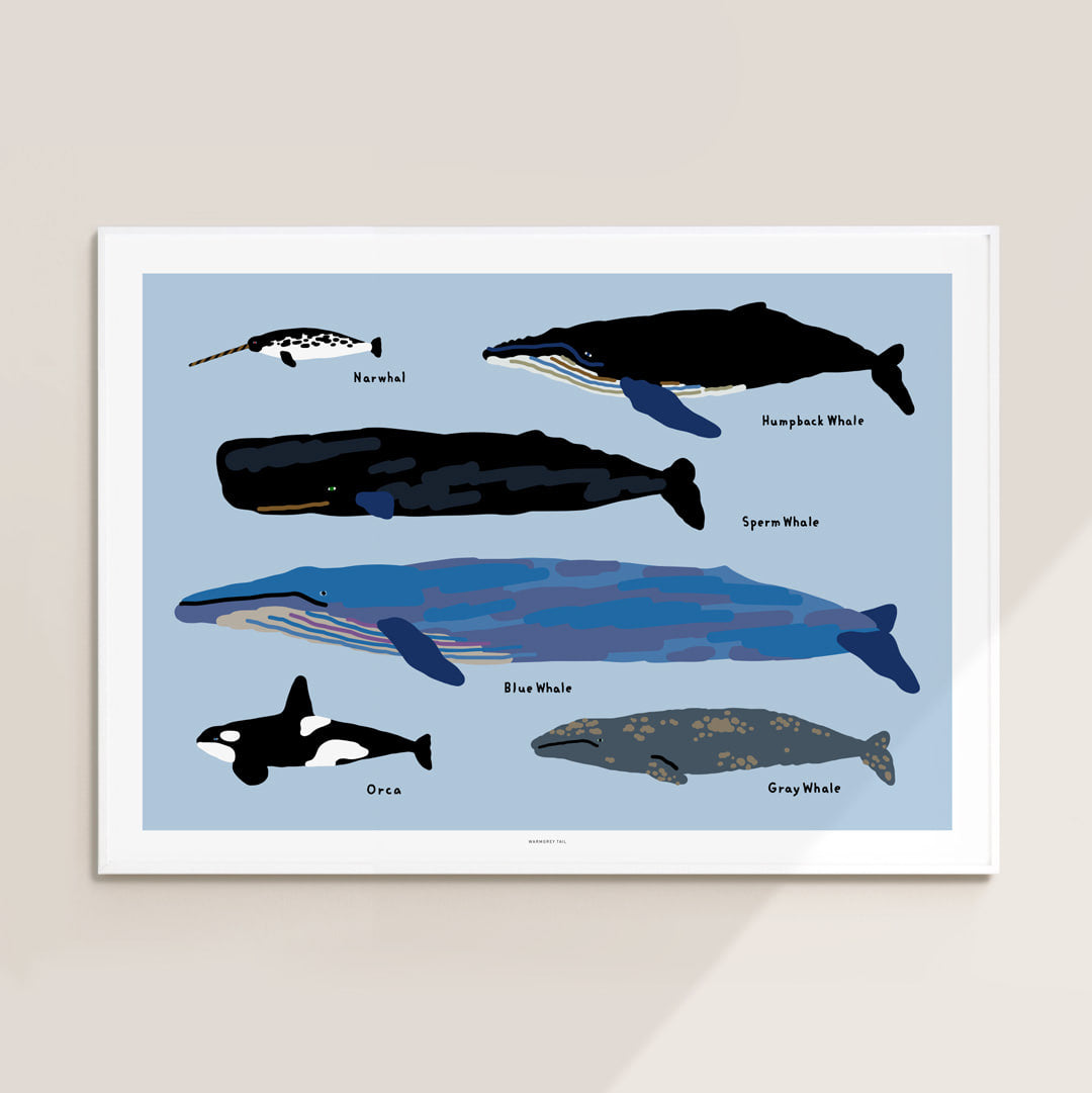 WHALES POSTER