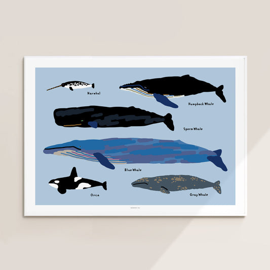 WHALES POSTER