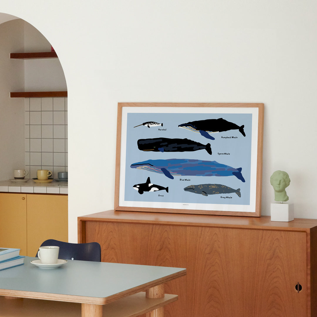 WHALES POSTER